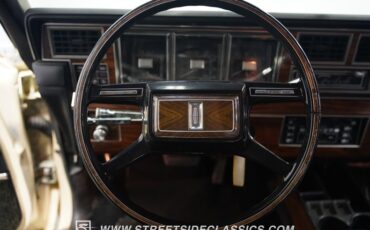 Lincoln-Mark-vi-1982-Pastel-French-Vanill-Blue-41