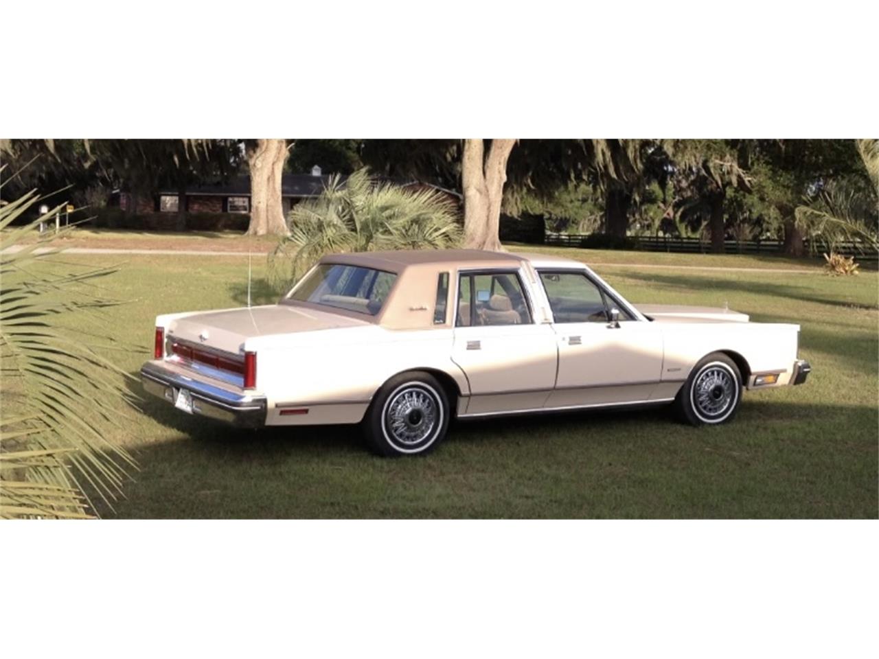 Lincoln-Town-car-1981-Cream-Gold-16