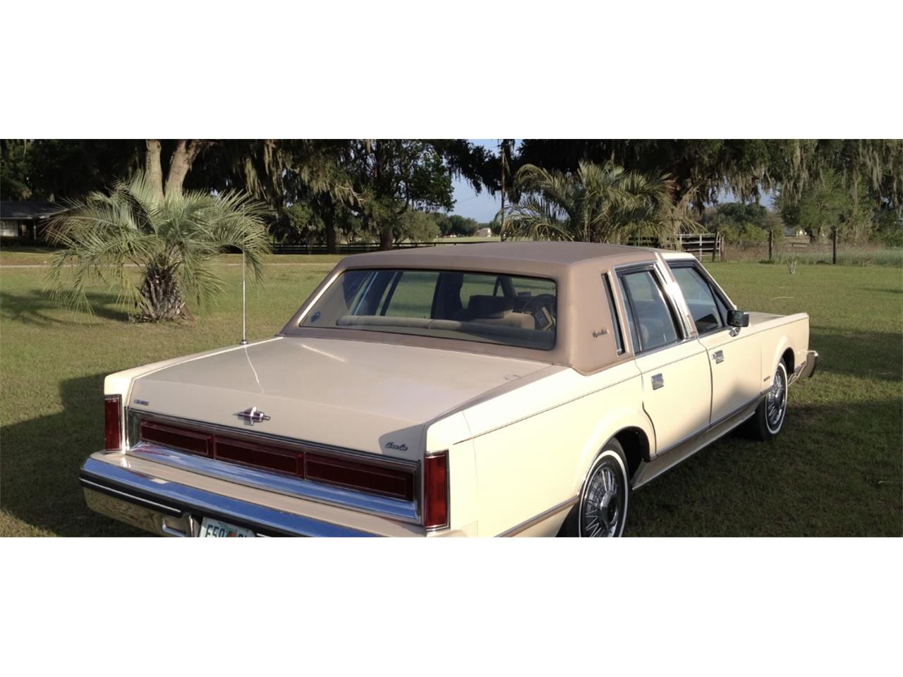 Lincoln-Town-car-1981-Cream-Gold-3