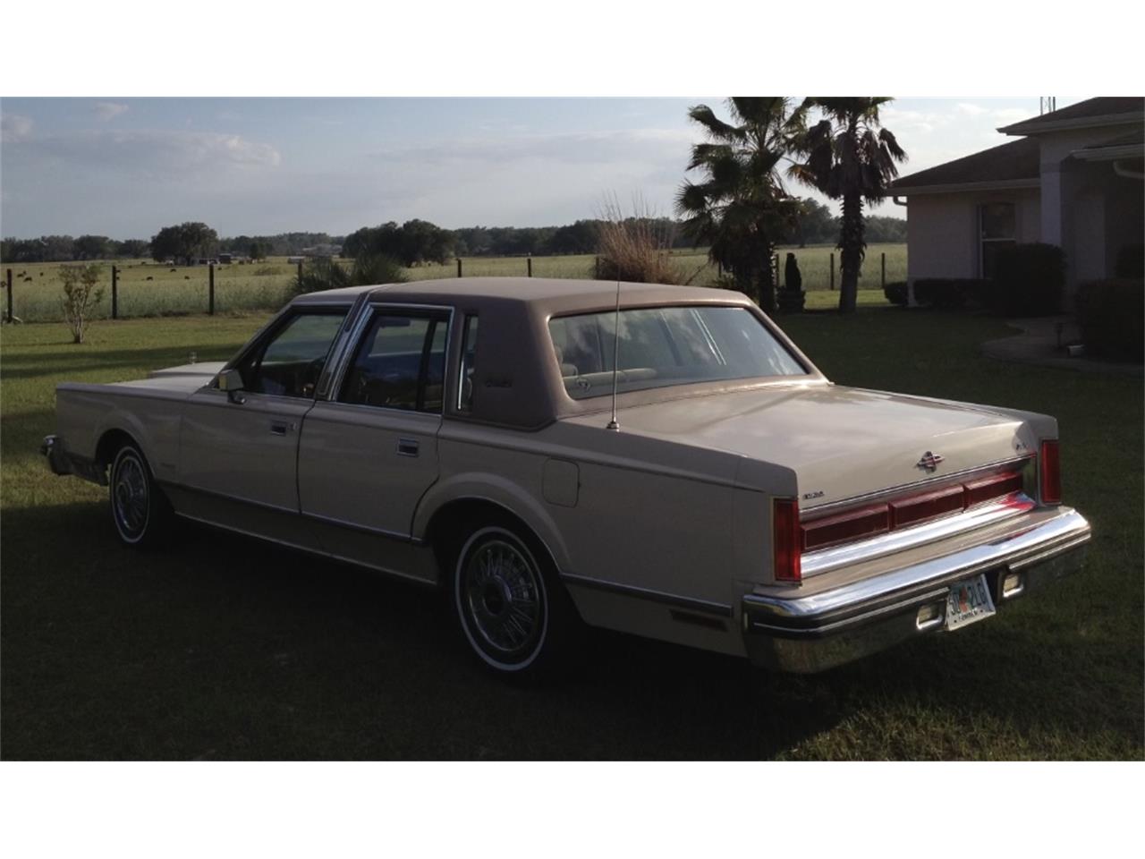 Lincoln-Town-car-1981-Cream-Gold-5