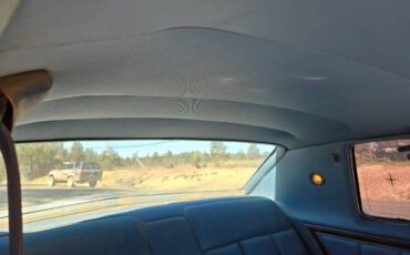 Lincoln-Town-coupe-1979-Gray-4