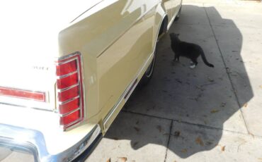 Lincoln-mark-v-1978-19