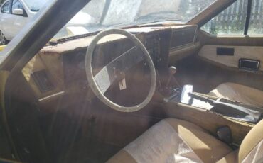 Lotus-Elite-1976-Yellow-Leather-11