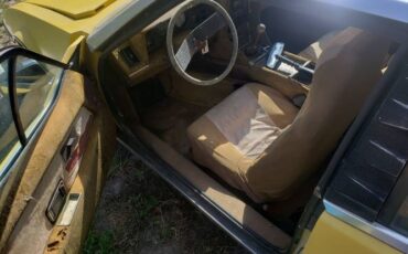 Lotus-Elite-1976-Yellow-Leather-6