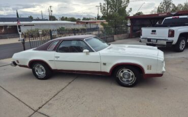 Malibu-laguna-s3-1974-white-2