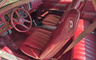 Malibu-laguna-s3-1974-white-3