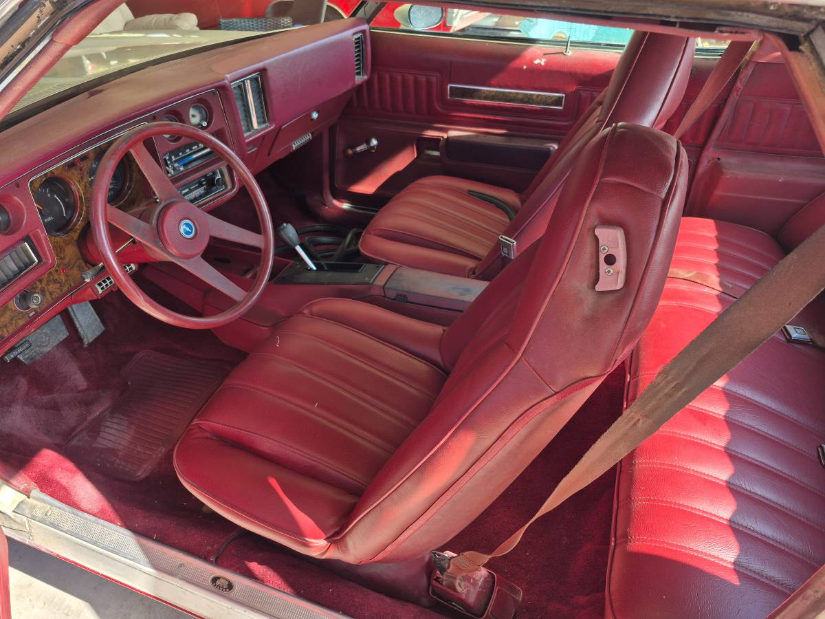 Malibu-laguna-s3-1974-white-3