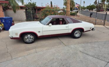Malibu-laguna-s3-1974-white