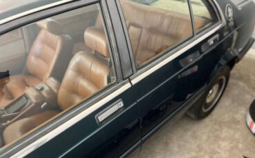 Maserati-425-1986-Green-Leather-19