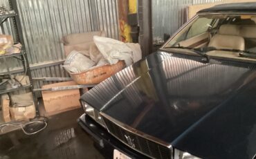 Maserati-Biturbo-1986-Metallic-blue-Tan-1