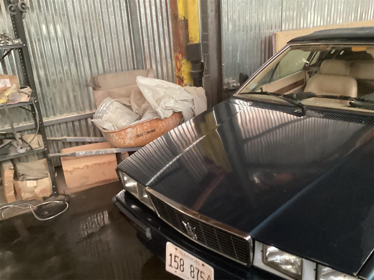 Maserati-Biturbo-1986-Metallic-blue-Tan-1