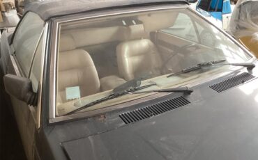 Maserati-Biturbo-1986-Metallic-blue-Tan-14