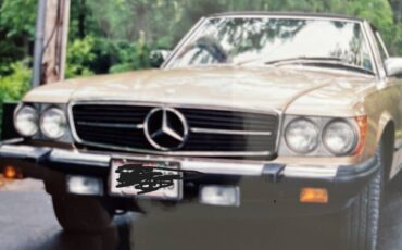 Mecedes-380-sl-1982-brown-8