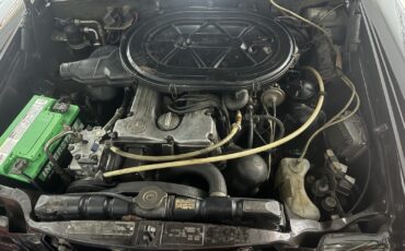 Mercedes-Benz-280-1974-38