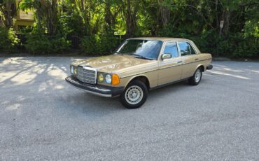 Mercedes-Benz-300-Series-1984-Sedan-1