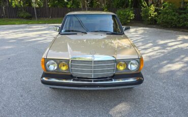 Mercedes-Benz-300-Series-1984-Sedan-14
