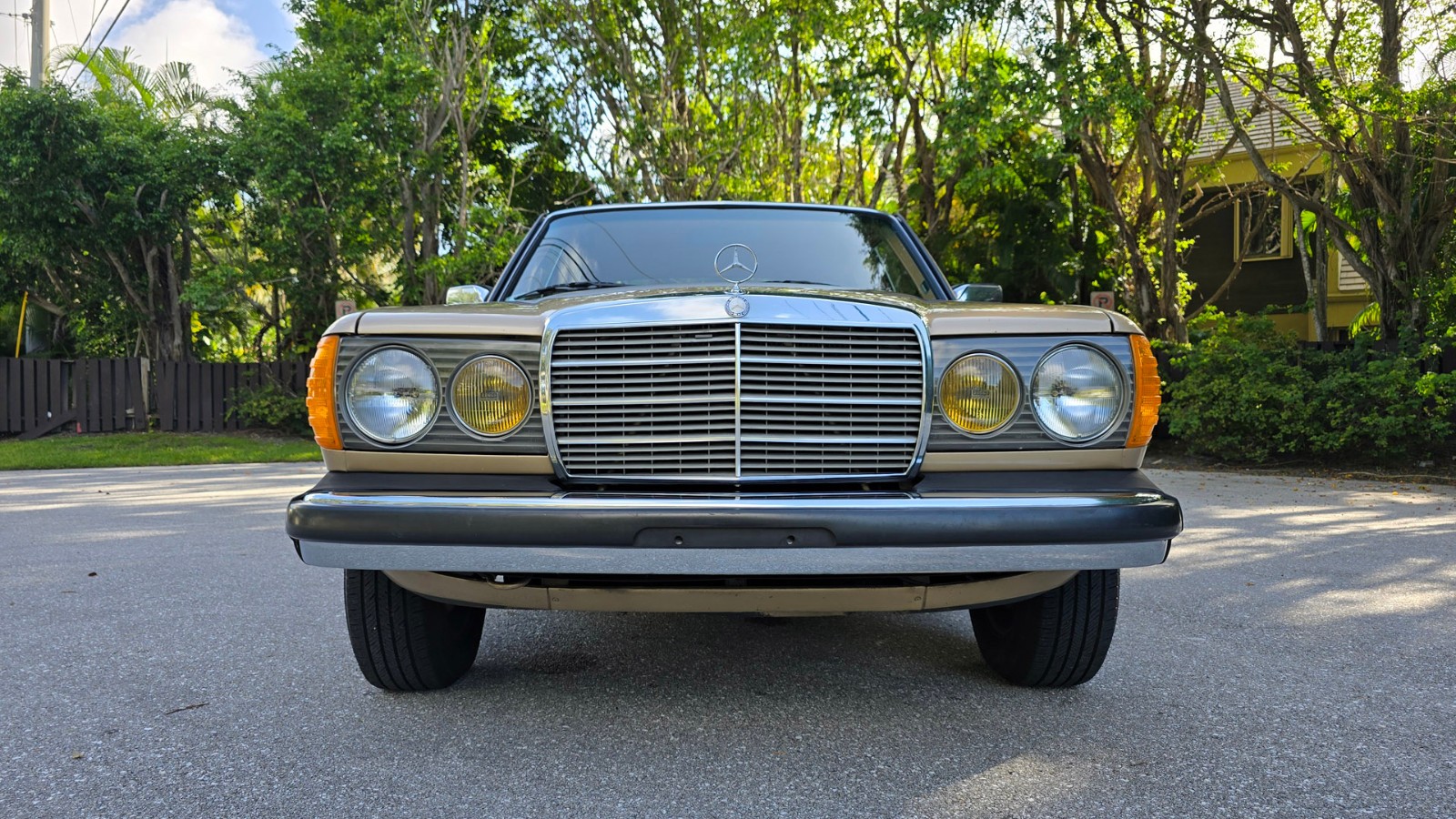 Mercedes-Benz-300-Series-1984-Sedan-15