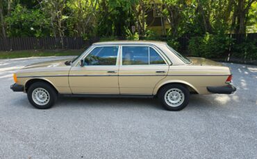 Mercedes-Benz-300-Series-1984-Sedan-16