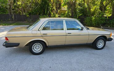 Mercedes-Benz-300-Series-1984-Sedan-17