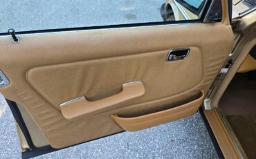 Mercedes-Benz-300-Series-1984-Sedan-29