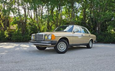 Mercedes-Benz-300-Series-1984-Sedan