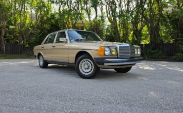 Mercedes-Benz-300-Series-1984-Sedan-4