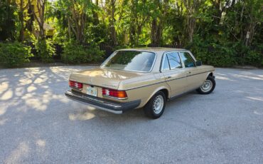 Mercedes-Benz-300-Series-1984-Sedan-6