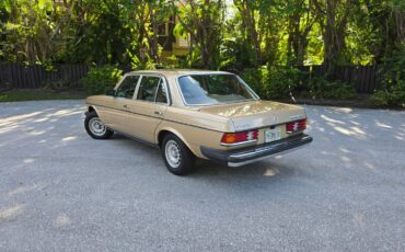 Mercedes-Benz-300-Series-1984-Sedan-9