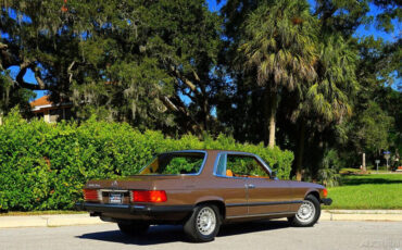 Mercedes-Benz-400-Series-1976-12