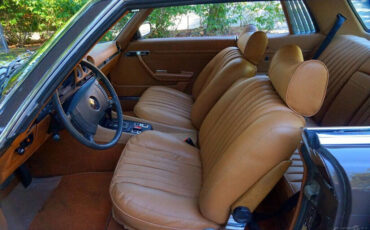 Mercedes-Benz-400-Series-1976-13