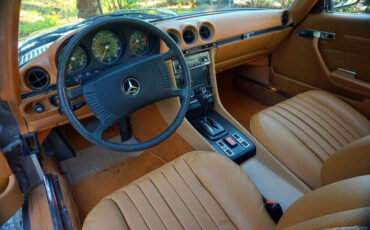 Mercedes-Benz-400-Series-1976-14