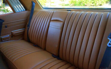 Mercedes-Benz-400-Series-1976-15