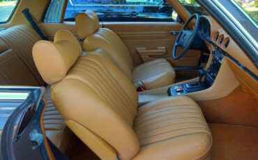 Mercedes-Benz-400-Series-1976-16