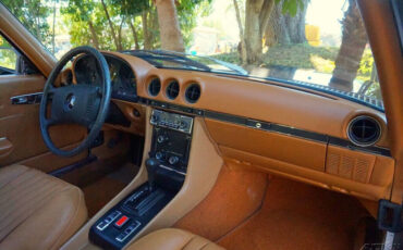 Mercedes-Benz-400-Series-1976-17