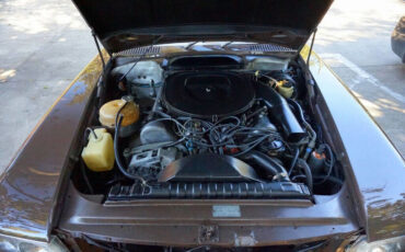 Mercedes-Benz-400-Series-1976-19