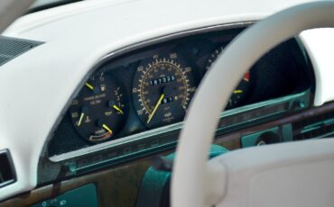 Mercedes-Benz-420SEL-1990-Sedan-22