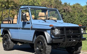 Mercedes-Benz-G-Class-1990-Convertible-22