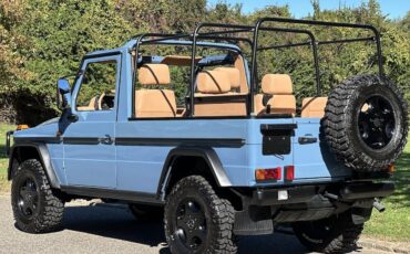 Mercedes-Benz-G-Class-1990-Convertible-38