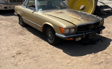 Mercedes-Benz-Other-1973