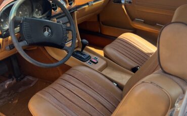 Mercedes-Benz-Other-1973-6