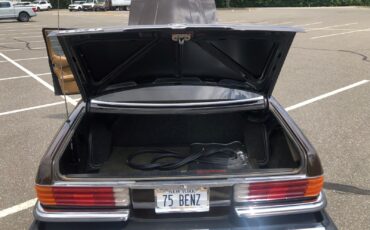 Mercedes-Benz-Other-1975-Sedan-14