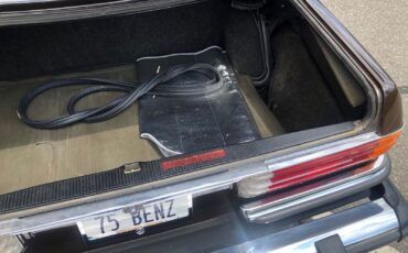 Mercedes-Benz-Other-1975-Sedan-15
