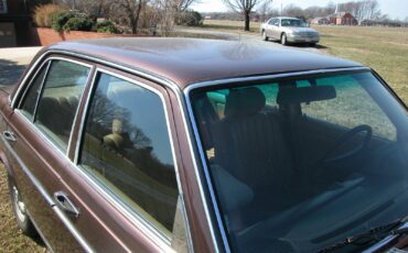 Mercedes-Benz-Other-1982-Sedan-10