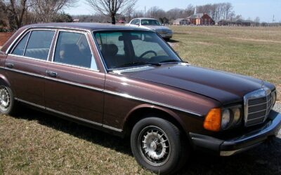Mercedes-Benz Other 1982 Sedan