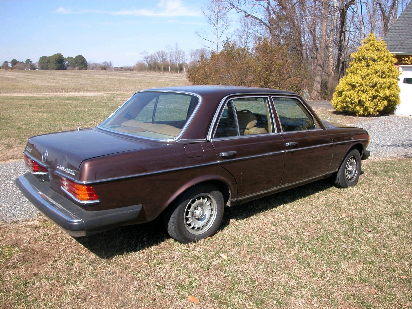 Mercedes-Benz-Other-1982-Sedan-6