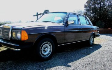 Mercedes-Benz-Other-1982-Sedan-9
