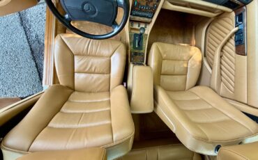 Mercedes-Benz-Other-1991-Sedan-12