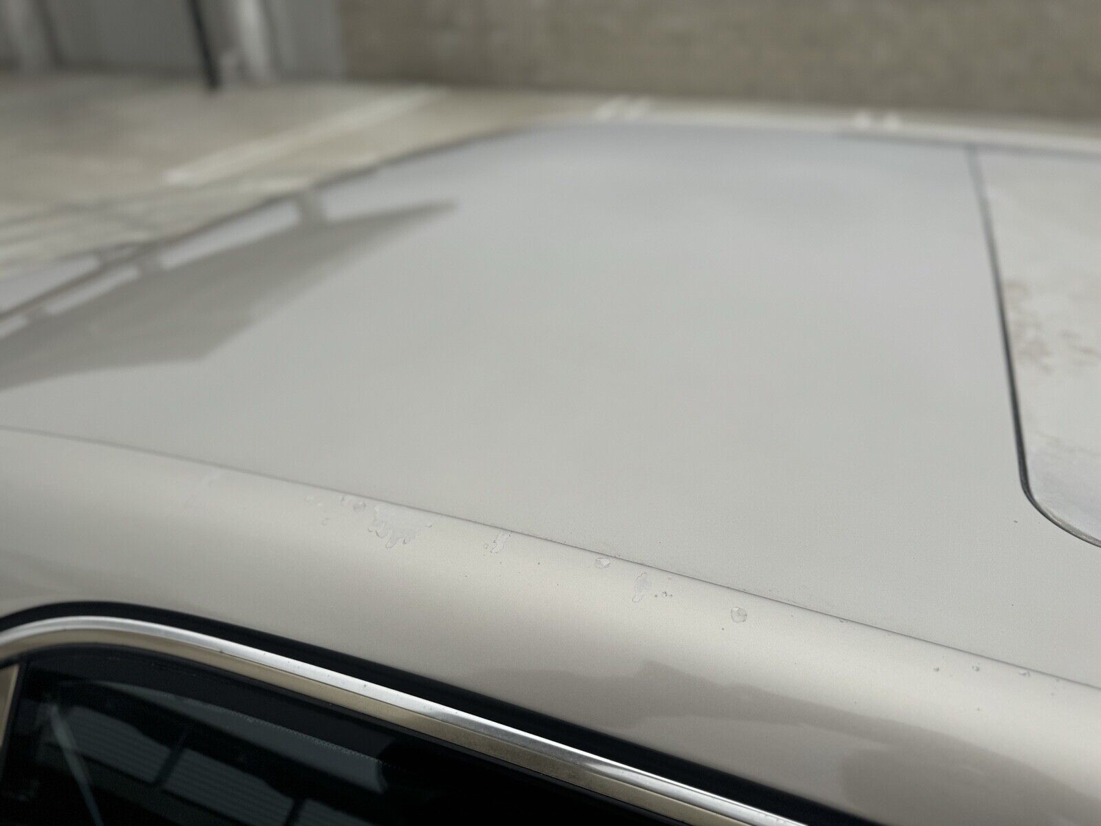 Mercedes-Benz-S-Class-1994-Sedan-13