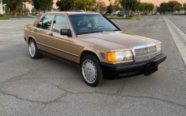 Mercedes-benz-190d-1987-Gold-Black-4
