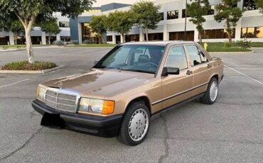 Mercedes-benz-190d-1987-Gold-Black-6